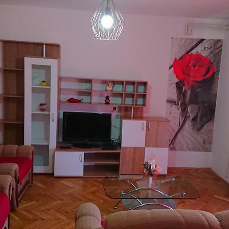 Apartments Vesna Kampor Luaran gambar